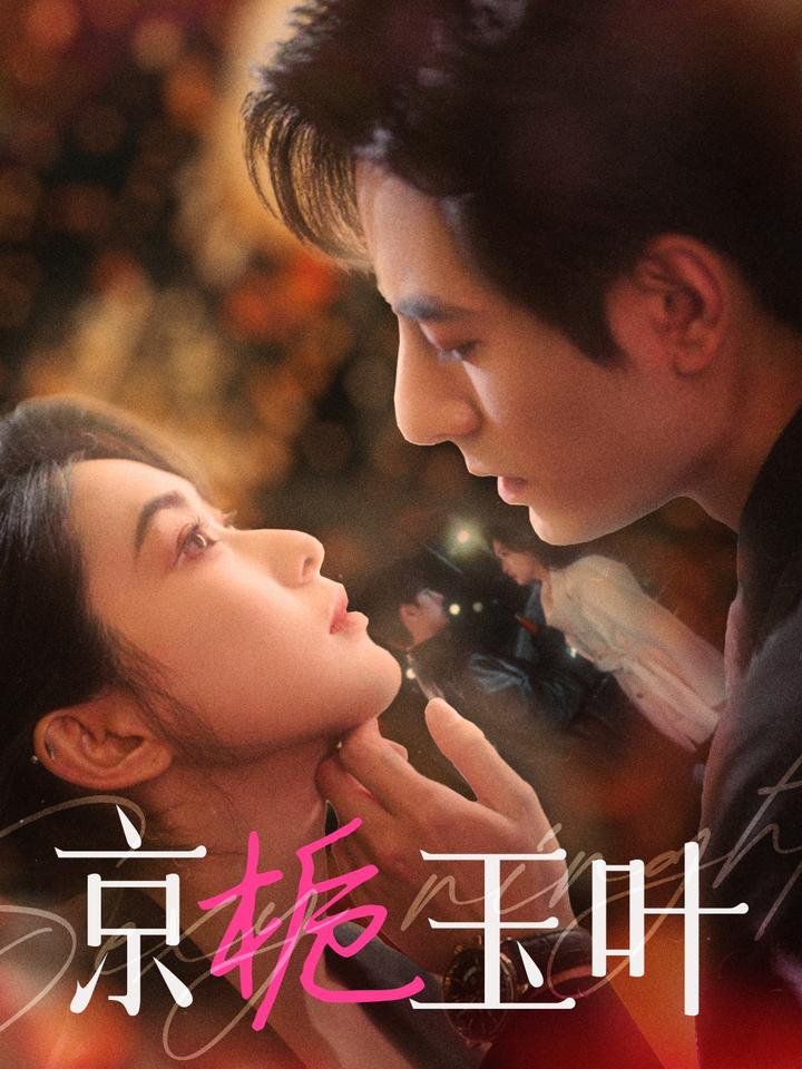 京栀玉叶 第21-40集