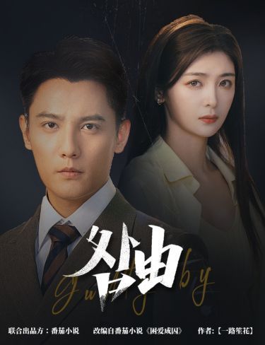 咎由（强势锁婚，九爷你出局了） 第41-61集完结(大结局)