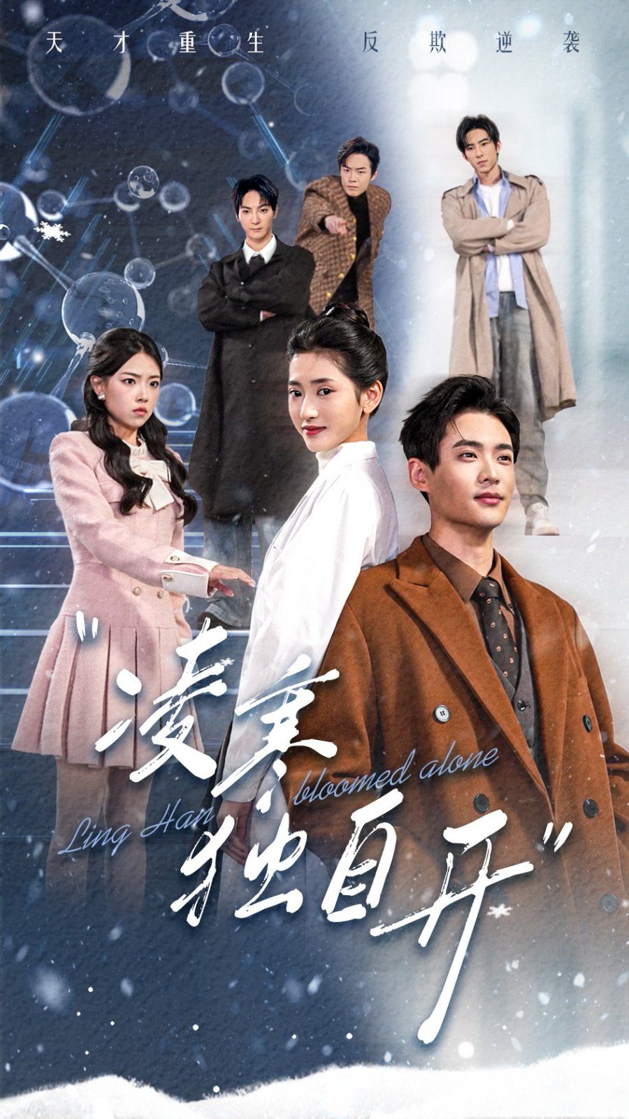 凌寒独自开 第41-59集完结(大结局)