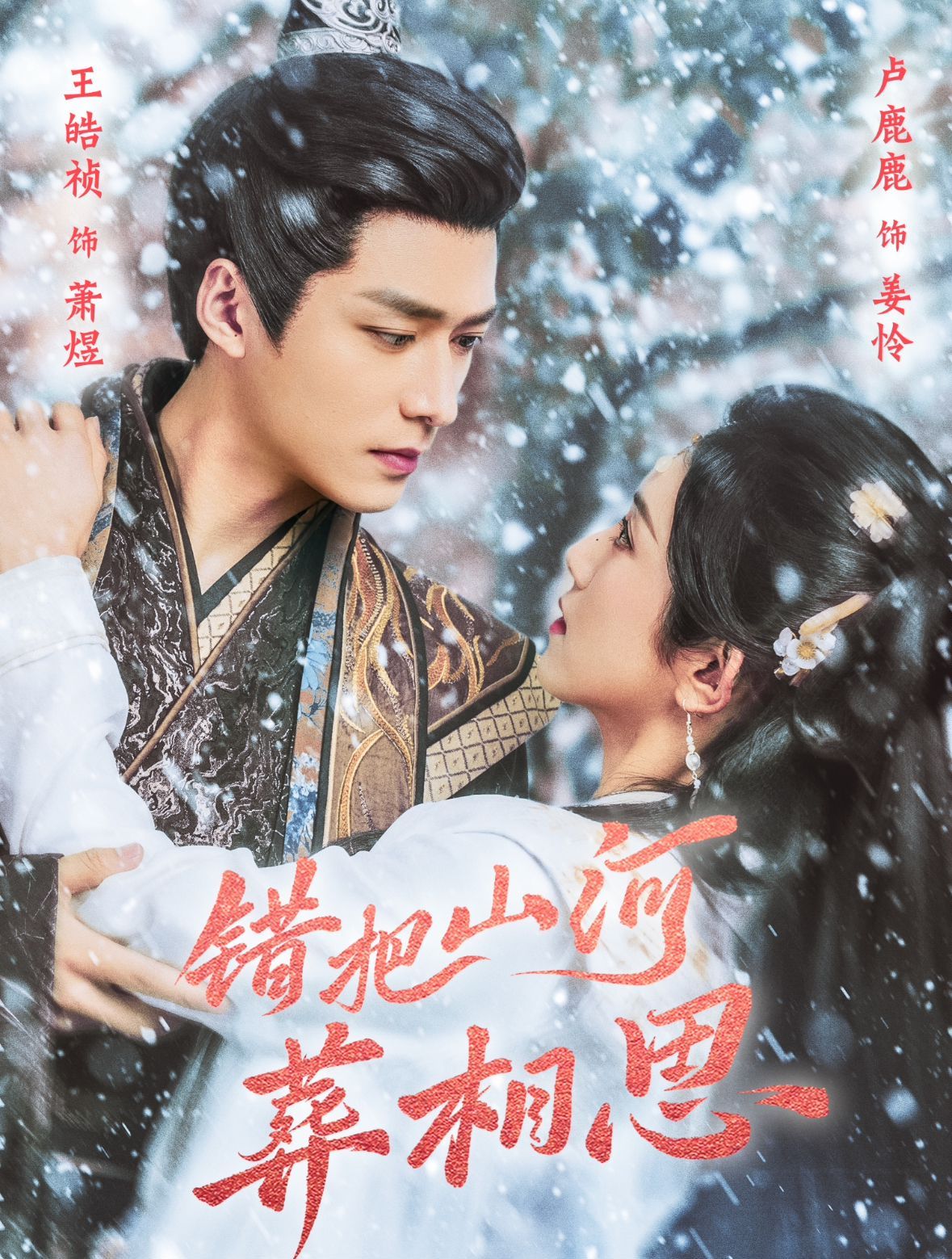 错把山河葬相思 全集完结(大结局)