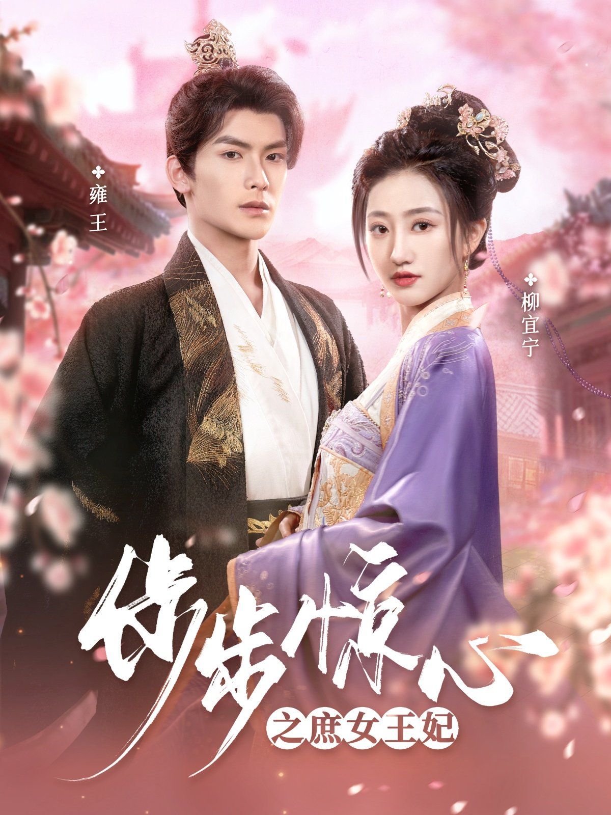 步步惊心之庶女王妃 第21-40集