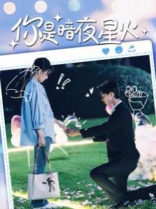 你是暗夜星火 第21-40集