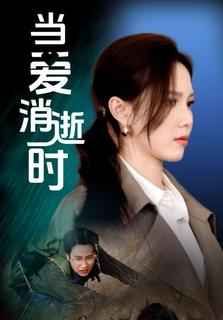 当爱消逝时 第31-53集完结(大结局)