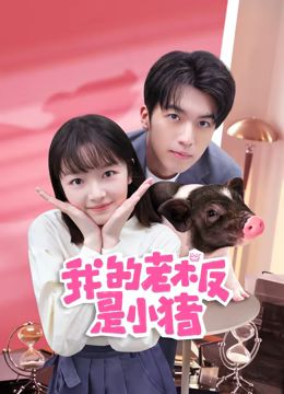 我的老板是小猪 第03集