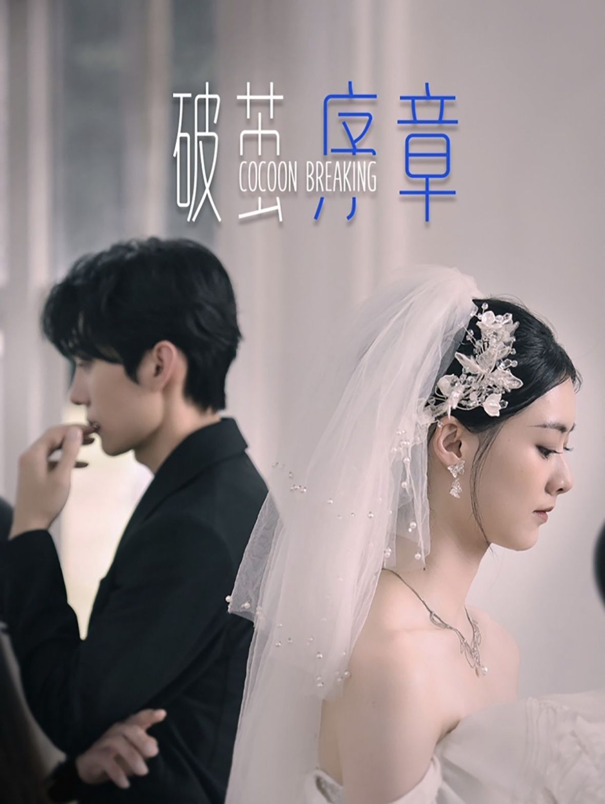 破茧序章 第21-40集