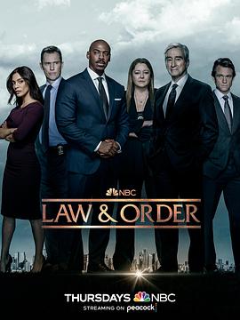 法律与秩序第二十二季 第20集